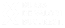 bvb white